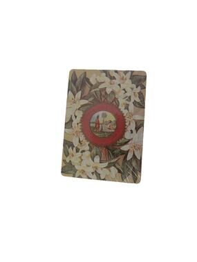 Vintage Florida East Coast souvenir playing cards NEW UNOPENED